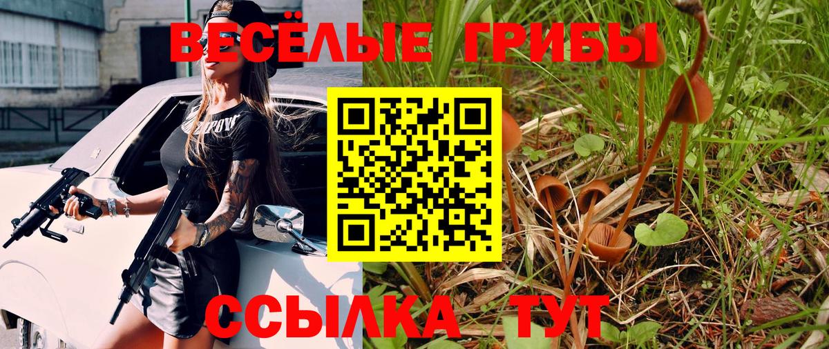 Галлюциногенные грибы Magic Shrooms Мончегорск